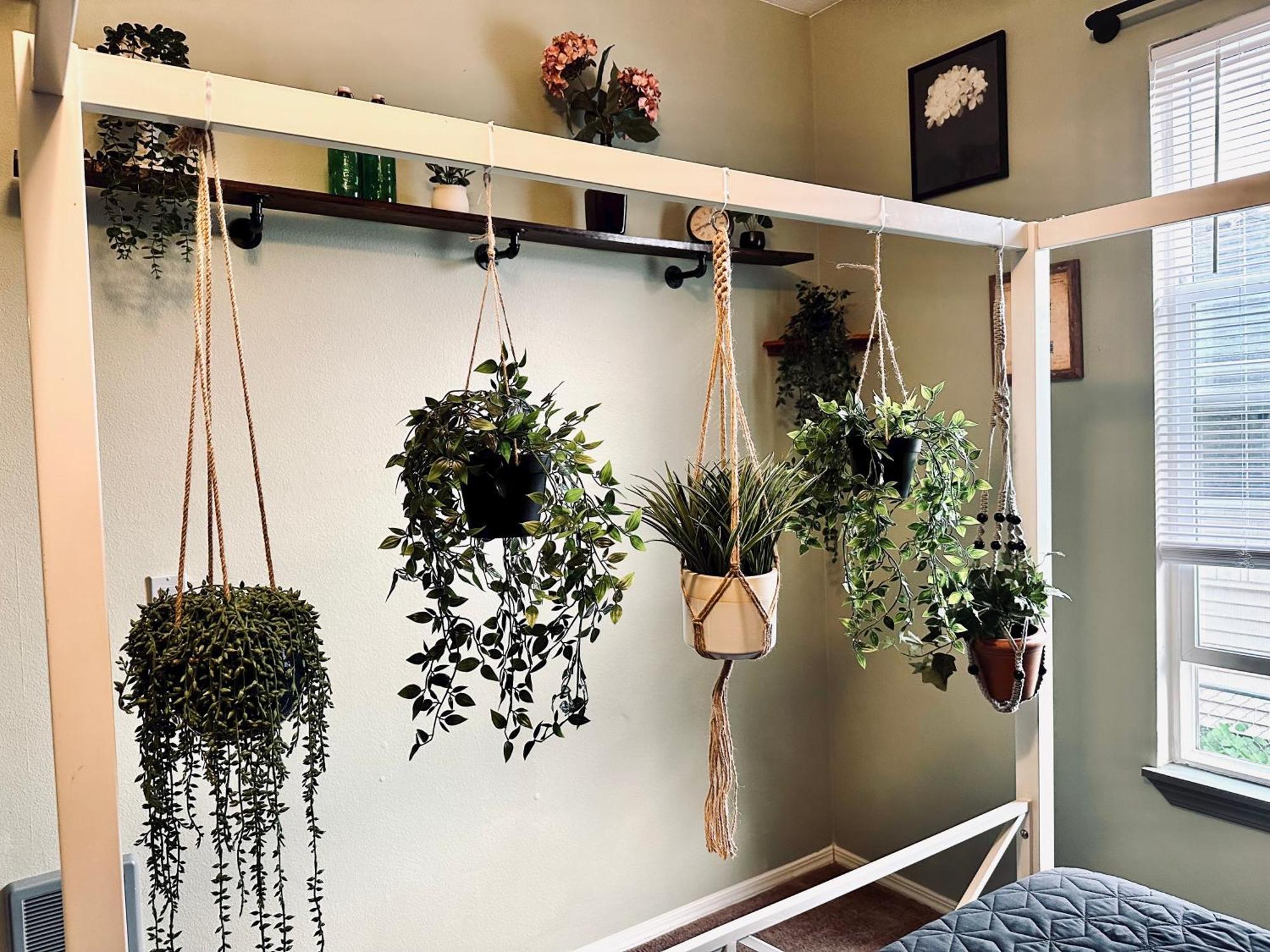 Mr. Mcgregor'S Garden Apartment ซาเลม ภายนอก รูปภาพ